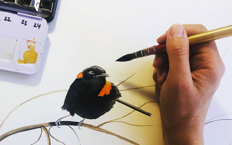 Hand with a paintbrush and watercolor painting of a bird