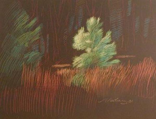 Young Pine, Rhodes, 1995, pastel, 19x25". by Michael Newberry