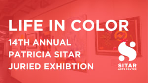 Call for Artists: 14th Annual Patricia Sitar Juried Exhibition, Life in Color