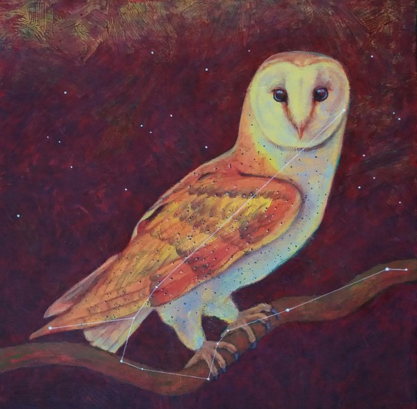 Astro Owl (constellation Noctua) by Lisa Bohnwagner