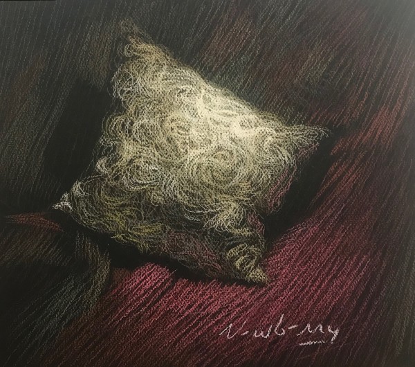 Newberry, Pillow, 2019, pastel, 12x14"