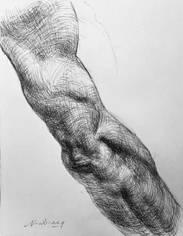 Arm Study 1, Andrea Morani by Michael Newberry